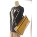 Photo6: NAHOK Drum Stick Case Bag [Drum Line4] Gold {Waterproof}