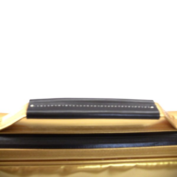 Photo2: NAHOK Flute Case Bag C Foot [Amadeus/wf] Gold / Chocolate Genuine Leather Handle & Emblem {Waterproof, Temperature Adjustment & Shock Absorb}