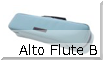 AMS FluteB