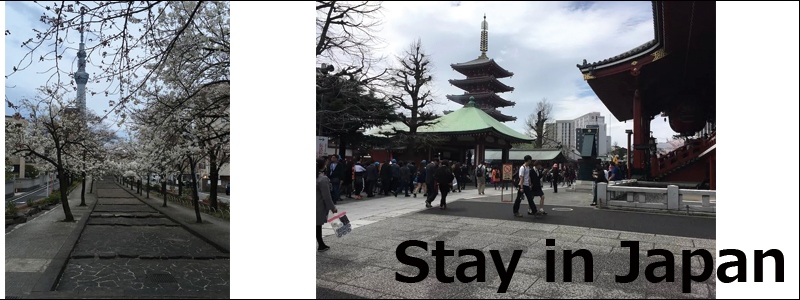 Stay in Japan2